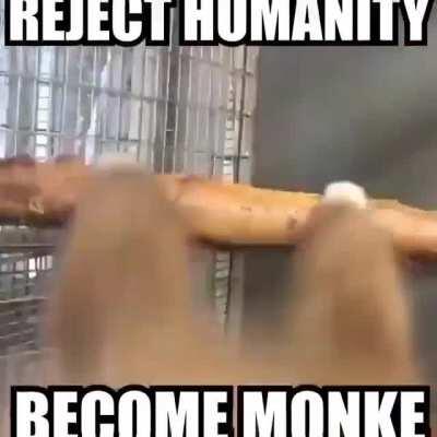 I'm 15 and this is yeet