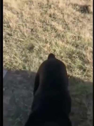 Mom's home, clear the runway!