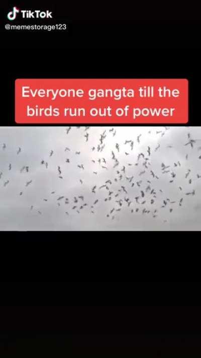 That's what happens to 