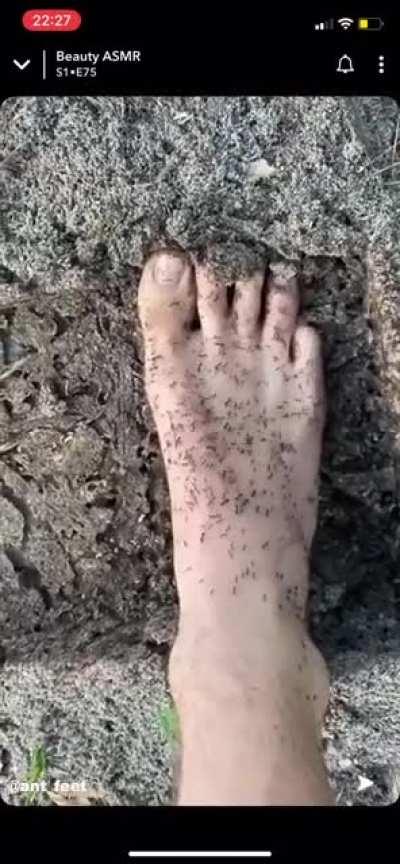 n-no! d-dont you da- NOOO