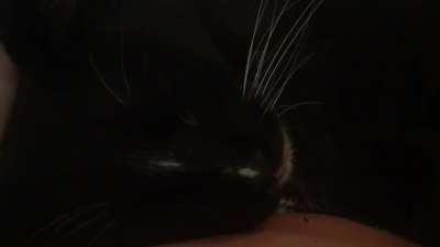 Jack is always happy to cuddle!