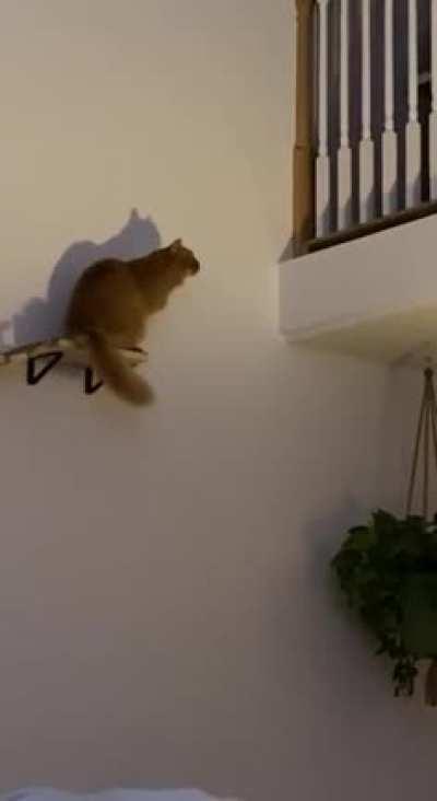 Catculations in progress !