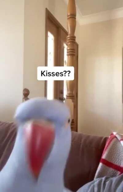 Hamlet trying to hide his crimes with kissy sounds and yelling WHAT DOING??