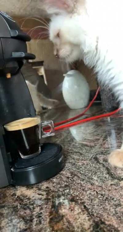 Inspecting every single espresso drop