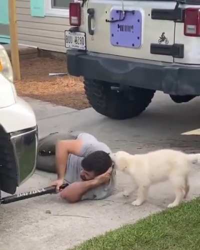 Apprentice mechanic!