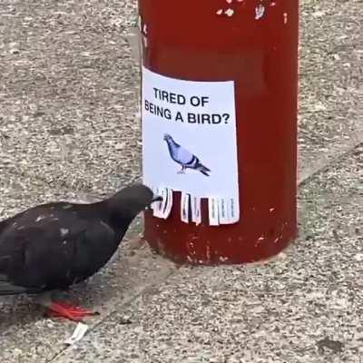 The fall of capitalism!