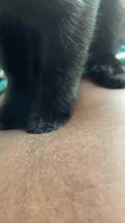 I’m new to cats my cat does this every morning is this normal?