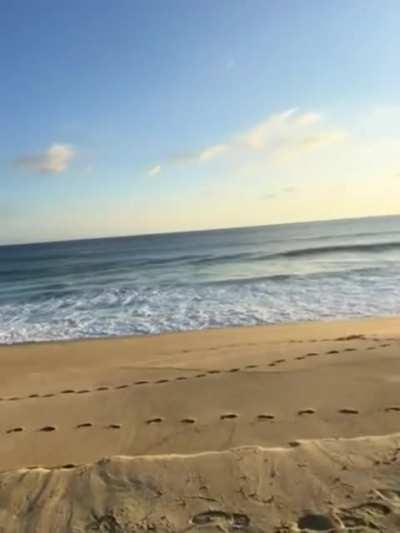 chasing sunsets [GIF]