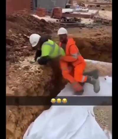 A typical workday. How beautiful is the partnership between co-workers