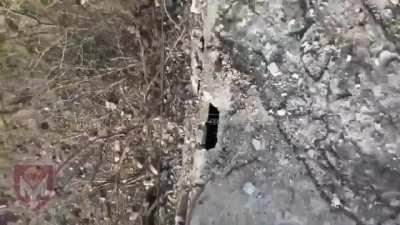 You can run but you can't hide