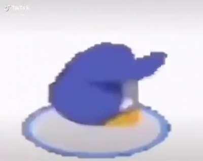 chat quando o muca liga o sr