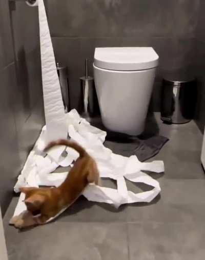 I just left it for a few minutes...