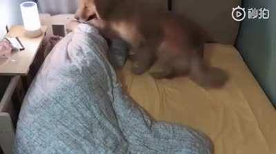 Doesn’t matter how big the bed is, the problem will be the same.