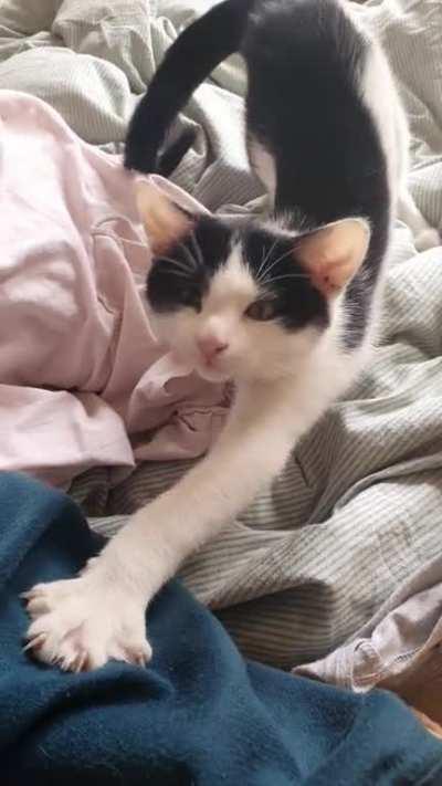 Toast making his demands