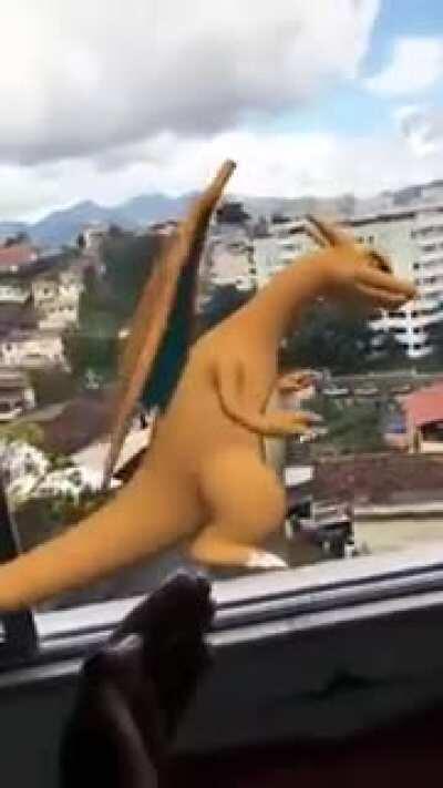 Desce daí Charizard 😡😡😡😡