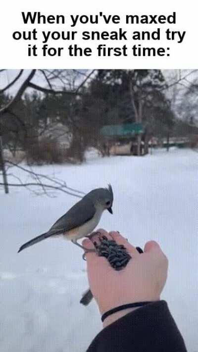 Drones are evolving to hide themselves