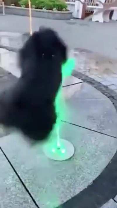 The heck was that?!?