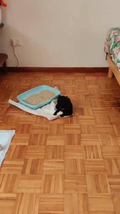 How can siblings be so different?