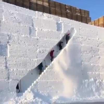 humanity is evolving