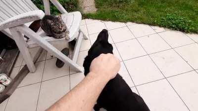 A reminder to wash my hands.