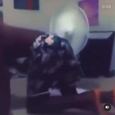 wordington circumcision