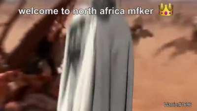 The colonisation attempts of north africa never were a walk in the park