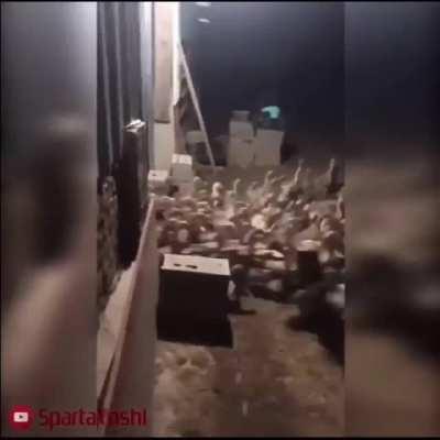 Morocco-Spain relations