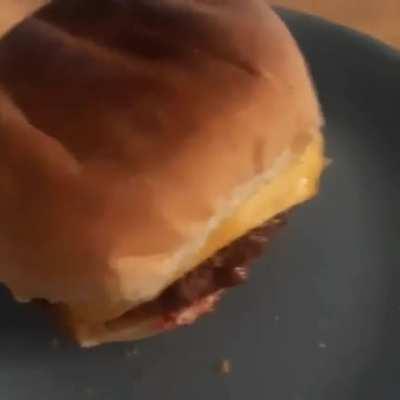 Le humm beger tabarnak