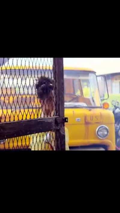 Never say no to अनिल🍑