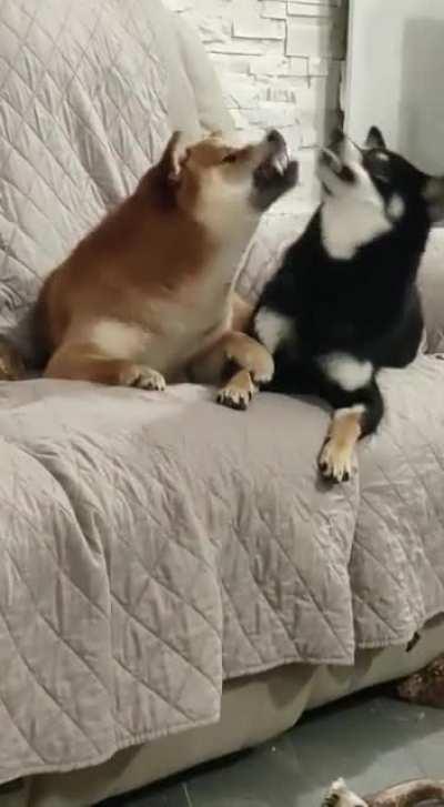 Little discussion over a sit place