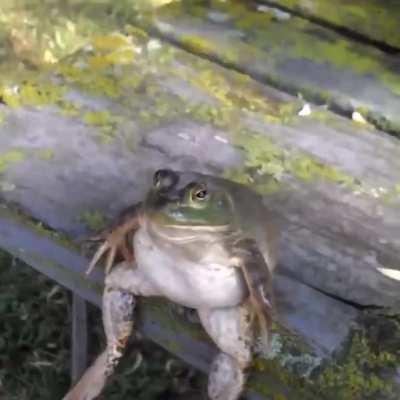 Us knowing the album is gonna be delayed cause of Jetson