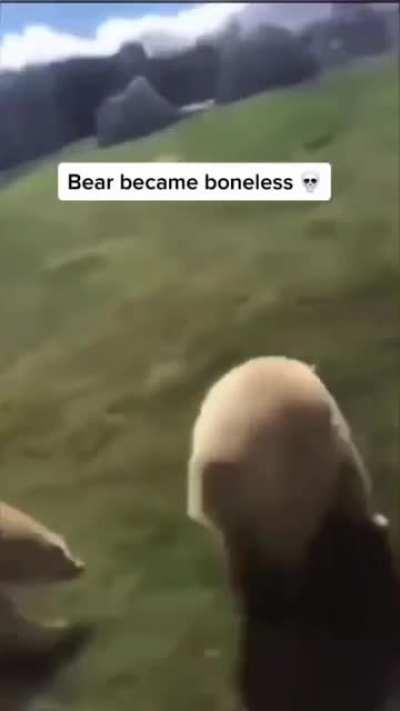 bro turned in a carpet ☠️