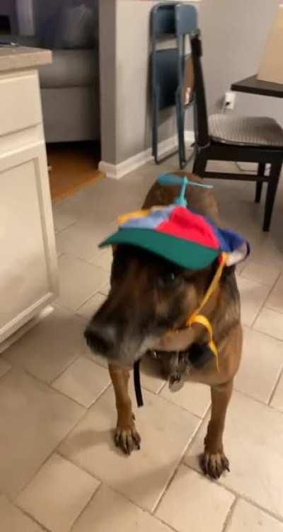 my boy in his new hat