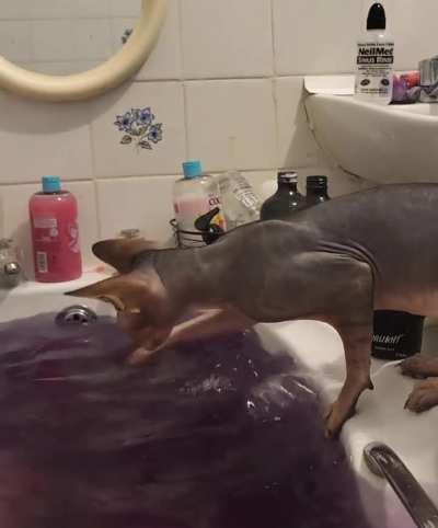 No drowning on my watch!