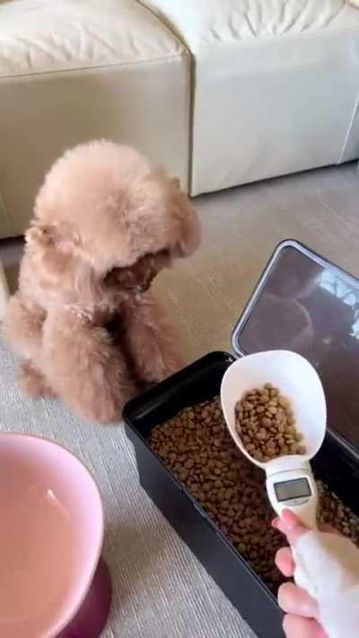 HMK... no wait, leave me some 🥺