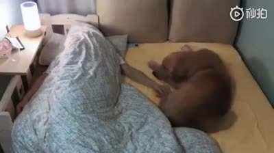 Doesn’t matter how big the bed is, the problem will be the same.