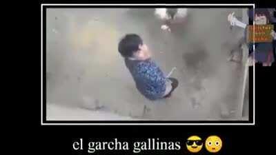 El garcha gallinas