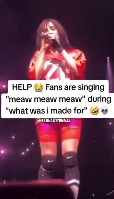 Meow meow meow meow! 🐱 