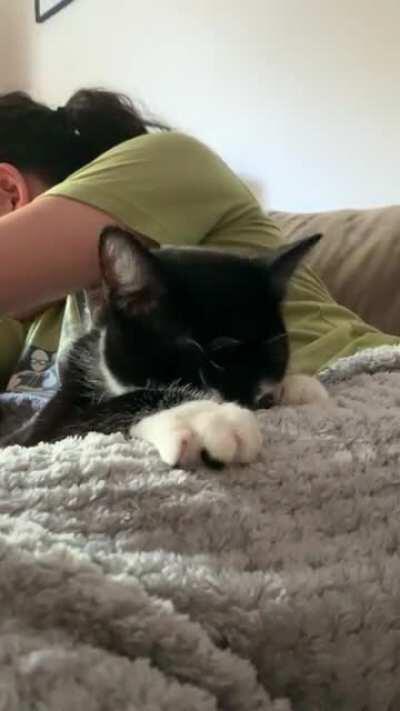 Douglas always taste-tests his biscuits