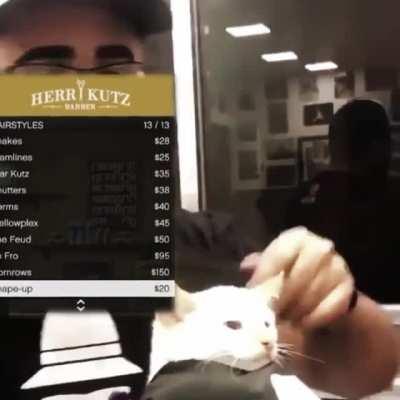 Credit to Cowbelly yt