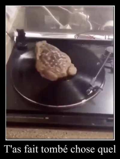 caca est la vie de sperme