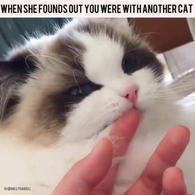 When she founds out you were With another Cat.