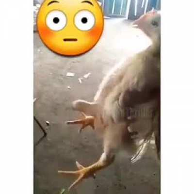 Something nah right...