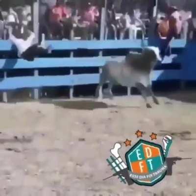 Hanging there for a better view!