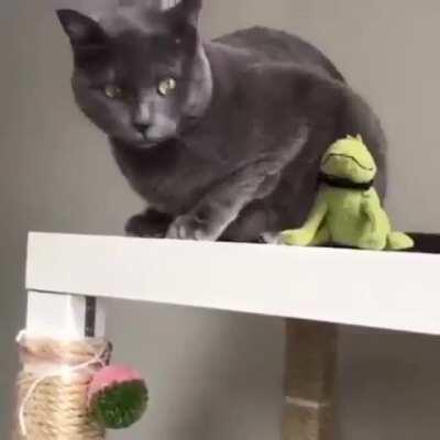 Чо уставился