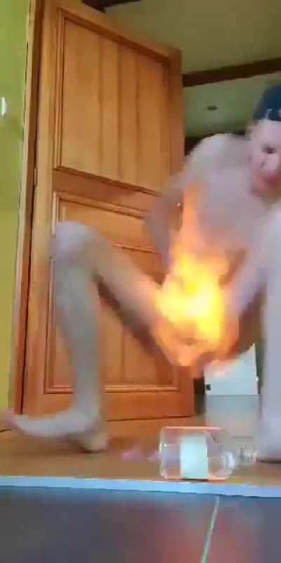 OMG BRAND GAVE ME A BLOWIE 😋😋😜