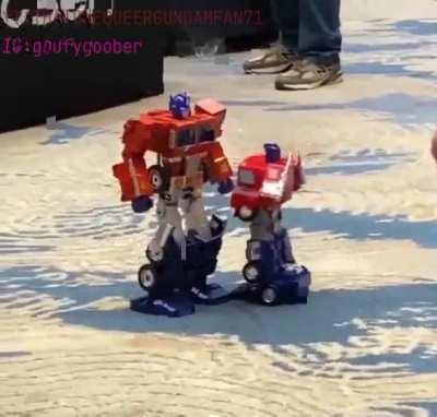 Robosen inferior, chonktimus superior