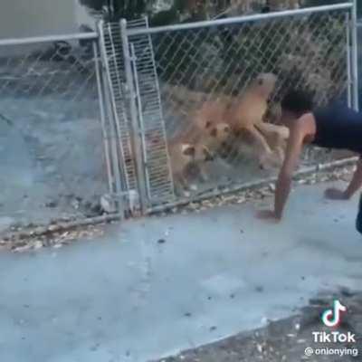 top 10 sadest moments