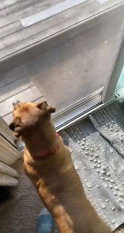 He does this every time…