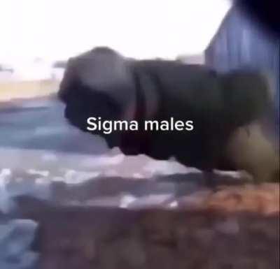 Who else is a scrimblo male?